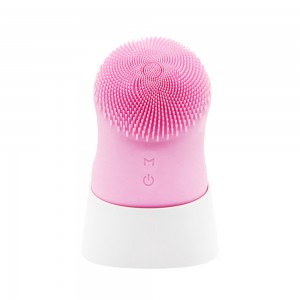 Silicone Facial Massage Brush