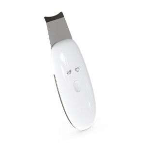 Facial Blackhead Cleansing Scrubber