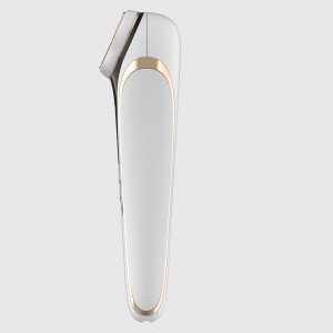 Home Use Rf Beauty Instrument Ems Rf Led Face Therapy Lifting Machine
