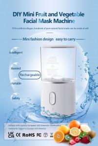 Diy Smart Fruit Mask Machine